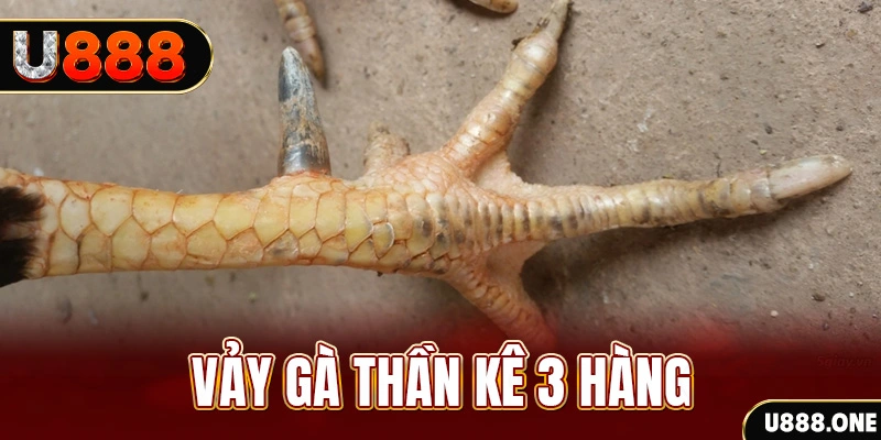 agbong88 nổ hũ đổi thưởng . ai