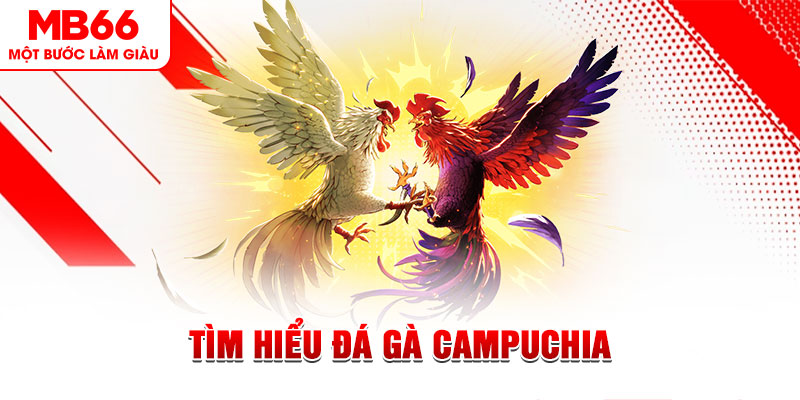 agbong88 tại sao không tải được nổ hũ