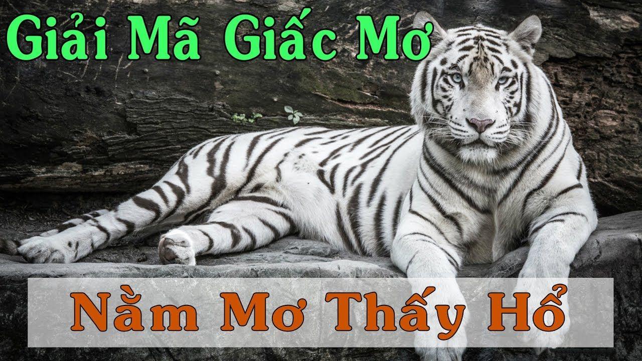agbong88 xổ số miền trung