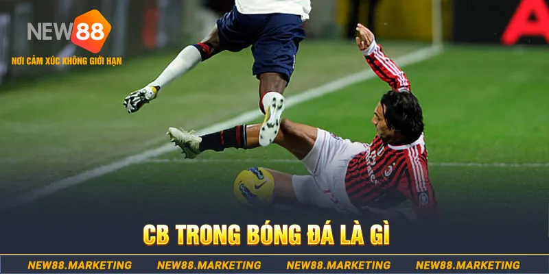 agbong88 gà chọi c1 gold city