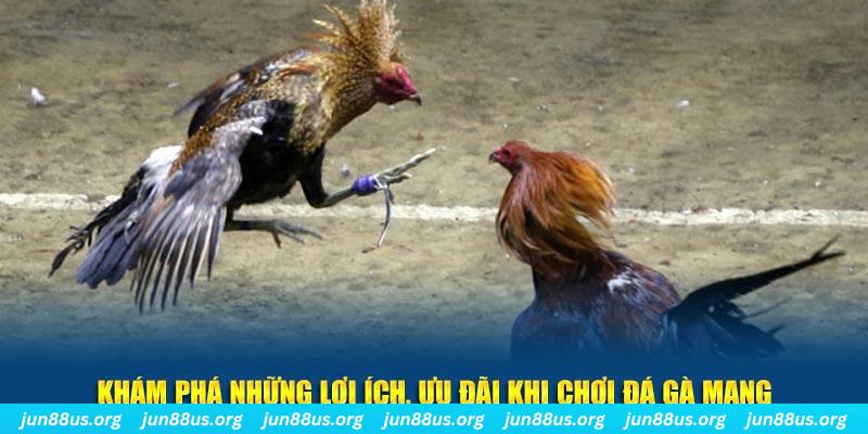 agbong88 Tài Xỉu 2
