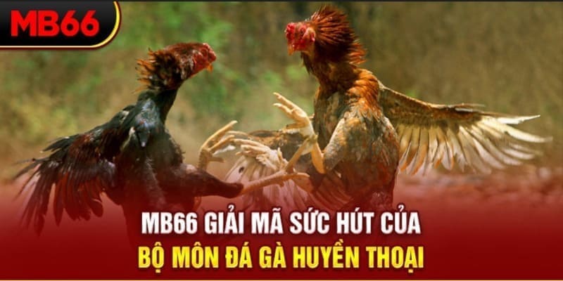agbong88 long bảo trong baccarat là gì