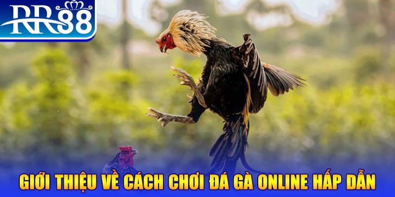 agbong88 nổ hũ 2 mặt là gì