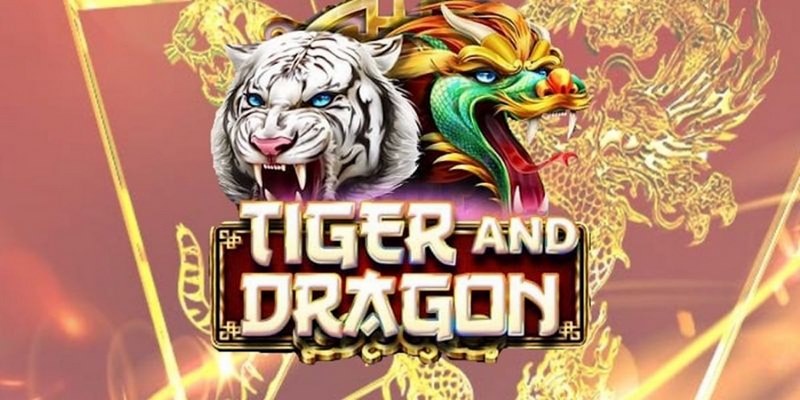 agbong88 cá cược tiếng anh là gì